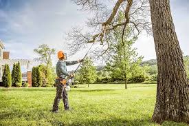 Best Tree and Shrub Care  in Lakeland, MN