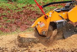 Mulching Services in Lakeland, MN