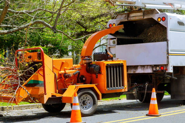 Best Tree Mulching Services  in Lakeland, MN