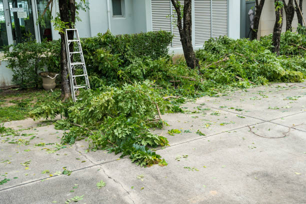 Best Seasonal Cleanup (Spring/Fall)  in Lakeland, MN